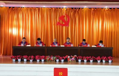 太阳成集团tyc党委换届选举党员大会胜利召开